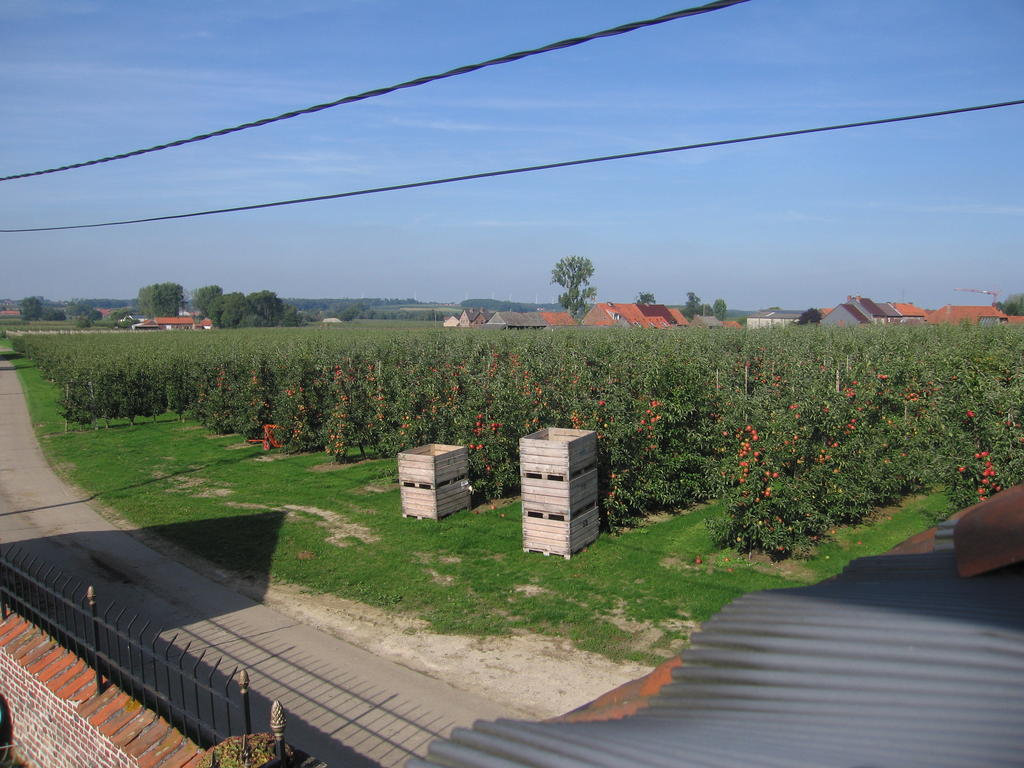 B&B Hoeve Ransberg Eksteriør bilde